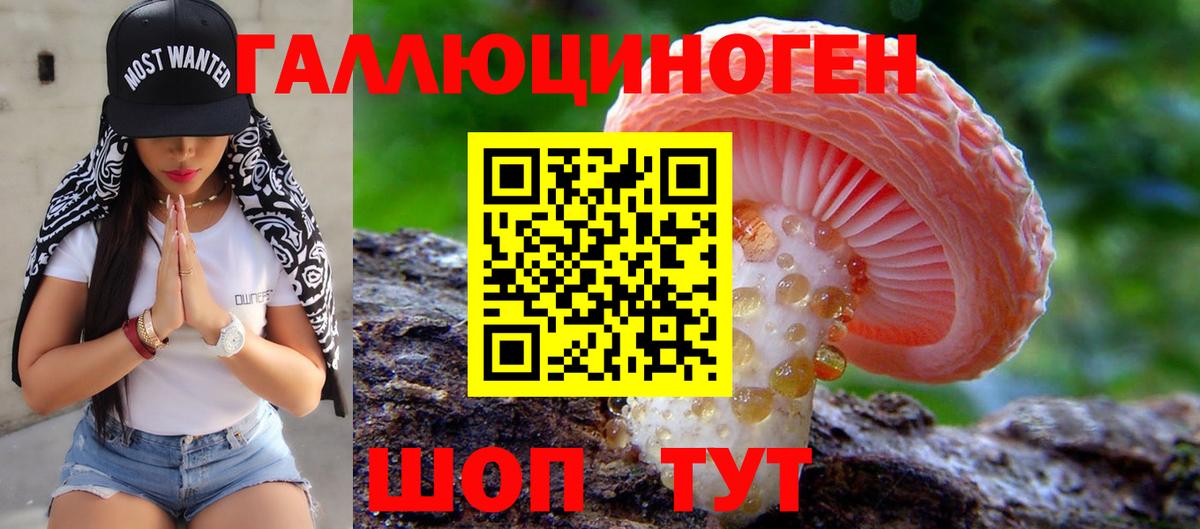 Псилоцибиновые грибы Psilocybine cubensis Борисоглебск