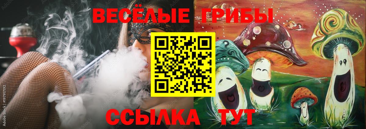 Галлюциногенные грибы Psilocybe  Вход с VPN  Борисоглебск 
